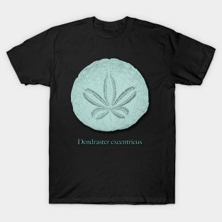 Mint Green Sand Dollar Seashell Design T-Shirt